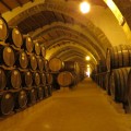 Marsala - Cantine Florio - foto A.Gaetani